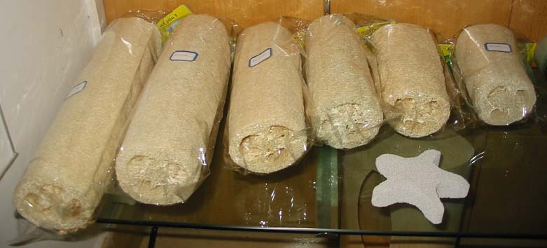 Global B2B directory Global trade lead